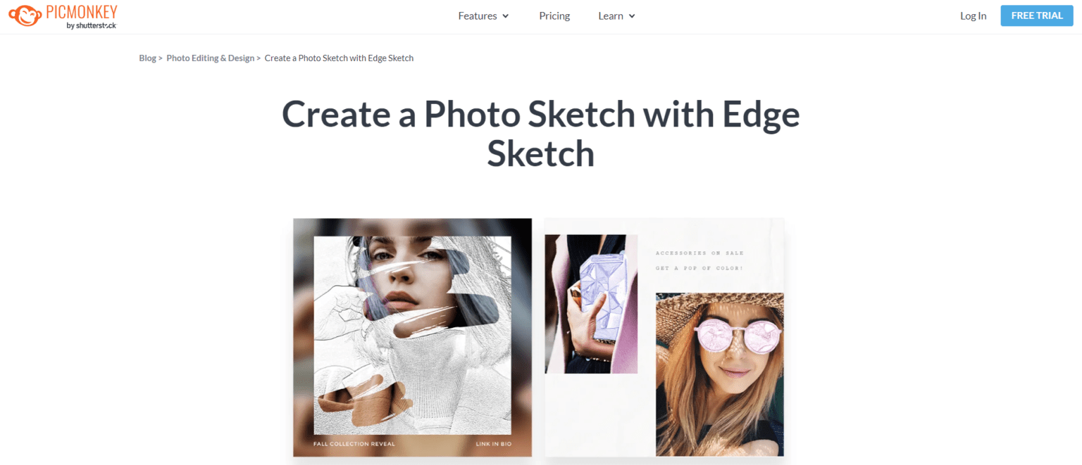 Top AI Tools for Converting Photo to Sketch 2024 | PromeAI